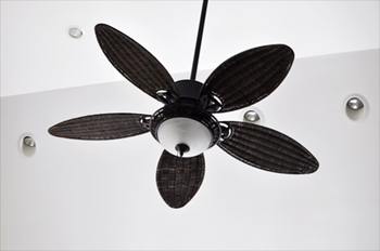 ceiling fans northern virginia